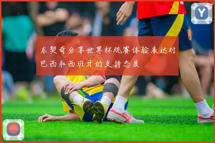 东契奇分享世界杯观赛体验表达对巴西和西班牙的支持态度