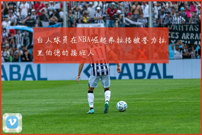 白人球员在NBA崛起弗拉格被誉为拉里伯德的接班人